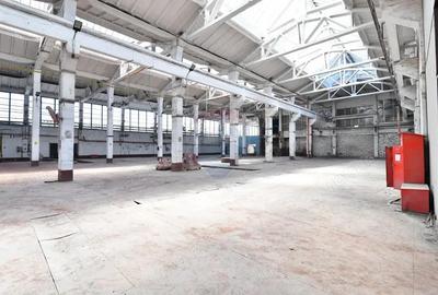 Teren industrial 35.000 mp cu hale de productie Craiova - 2