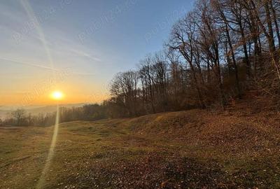 Teren de vanzare Nistoresti-Breaza 1100 mp, zona frumoasa langa padure, ideal pentru cabana la munte - 2