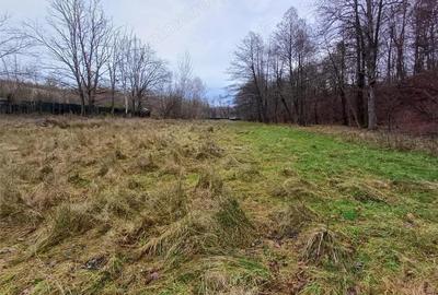 Resita, Teren Drept Intravilan, Langa Prau si Drum, Parcelabil, 4500 Mp., 15 Euro Mp., Renk - 14