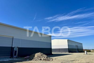 Hala industriala de vanzare 528 mp utili zona Vest a Sibiului - 5