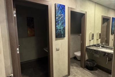 Cladire de Vanzare, Spatii comerciale, 1000mp, Central - 11