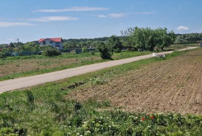 Teren de 500 mp, în Siliștea Snagovului