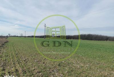 Spațiu comercial, în Saca - 7