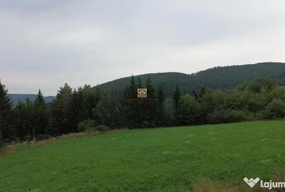 Teren de 5023 mp, în Voroneț - 3