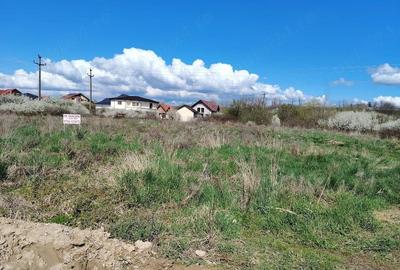 Teren de 1316 mp, în Central - 1
