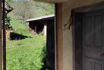 Vand casa in Salciua de Sus, nr. 236 - 3