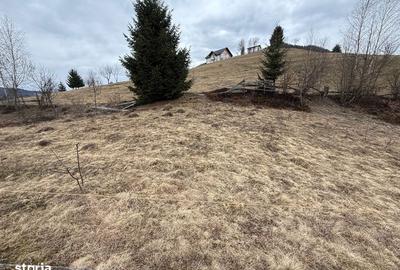 Teren de 1700 mp, în Albac - 2