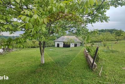 Casă cu 4 camere cu Teren 11769 Mp în Bulz - 11