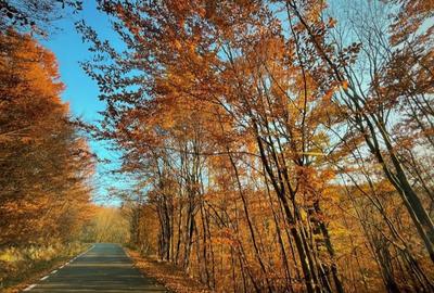 Spațiu comercial, în Copalnic - 11