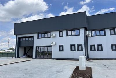 Vanzare depozit/hala/spatiu industrial Domnesti - Centura, Ilfov - 2