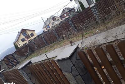 Casă cu 7 camere cu Teren 1764 Mp în Câmpulung la Tisa - 2