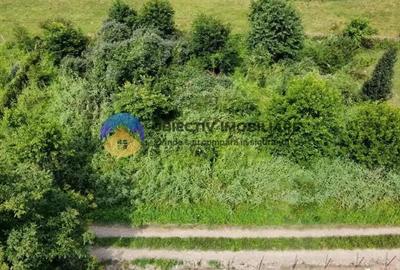 Teren intravilan com. Alexandru cel Bun- Viisoara - 11