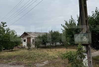 Spațiu comercial, de 7,000 mp, în Șagului - 5