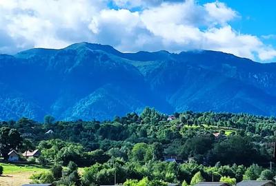 Apartament 3 camere Penthouse Bran - 4