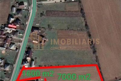 Teren intravilan in Razoare - 8