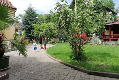 Vand casa, in centru orasului Alba Iulia - 10