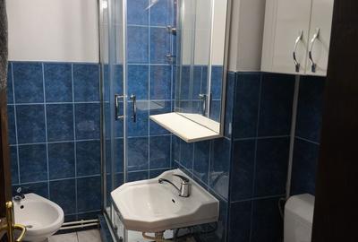 Garsonieră decomandată în Dacia - 9