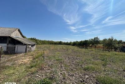 Casă cu 3 camere cu Teren 6060 Mp în Gepiu - 4