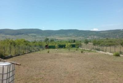 Teren intravilan 2177 mp Sieu Magherus - 9