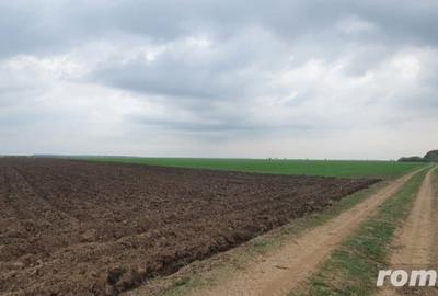 Teren de 27500 mp, în Belciugatele - 1