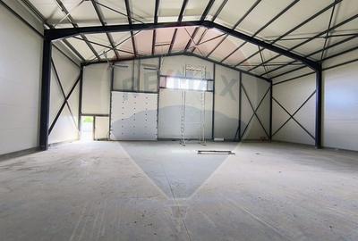 Spațiu industrial hala depozit zona Theodor Pallady - 2