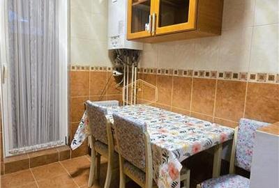 Apartament cu 2 camere semidecomandat, mobilat în Carpați 1 - 9