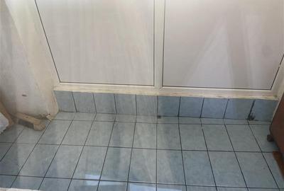 Apartament 2 camere , zona cartier Sud , 54 mp , imbunatatit , centrala termica - 9