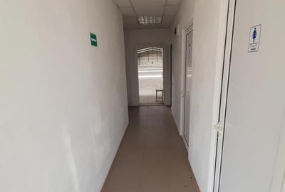 Surdila-Gaiseanca, Braila - 5