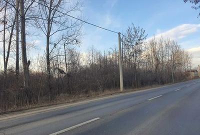 Teren de 24428 mp, în Stăncești - 2