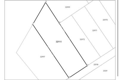 Teren Construcții intravilan de 2000 mp, în Văliug - 8