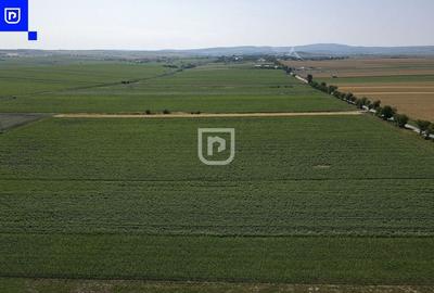 Teren - Orășeni Deal, Curtești | BOTOȘANI | 10.000mp - 3