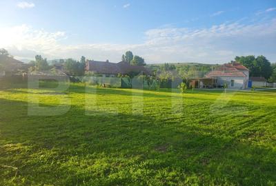 Casa cu 5 camere, 187 mp utili si sp. comercial 24mp, teren 4079mp, zona Teius - 14