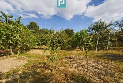 Casă cu teren 2877 mp, orașul Ineu - 6