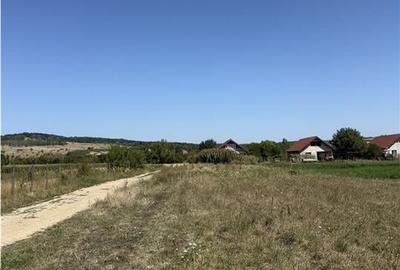 Reco, Teren in Ineu, Bihor - 2