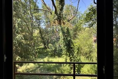 Casa cu teren generos – refugiul perfect în Paltinoasa, Suceava - 15