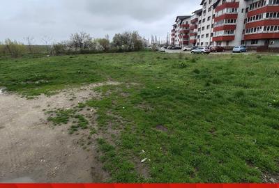 Ocazie unica! Teren Vadul Bistritei! CE1098 Ocazie unica! Teren Vadul Bistritei! CE1098 - 2