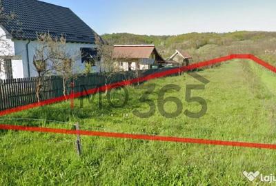 Teren de 2893 mp, în Băbana - 3