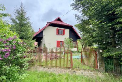 Vila vacanta Cheia - Prahova, pretabila pentru investitie - 48