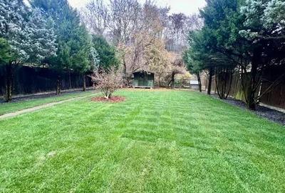 A 1607 De vanzare casa singur in curte in Tg Mure? - 7 Noiembrie - 7