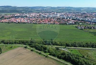 Teren 60,000mp Fagaras / Soseaua Combinatului - 9