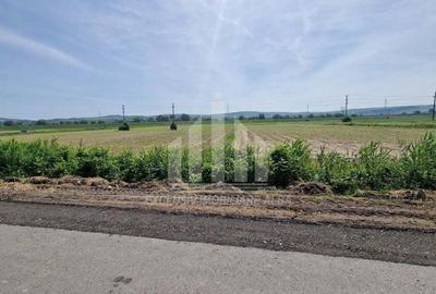 Teren pentru constructii industriale pe soseaua de centura - 3