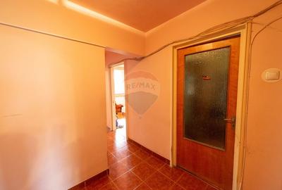 Apartament 3 camere de vanzare, Drumul Taberei, langa Parc Moghioros - 15