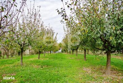 Teren de 1191 mp, în Racovița