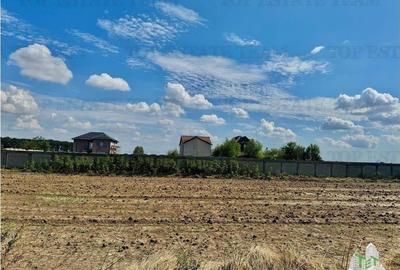 Teren de vanzare lotizat la padure cu utilitati in Frumusani / Calarasi - 1