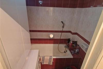 Apartament cu 2 camere semidecomandat, mobilat în Șagului - 22