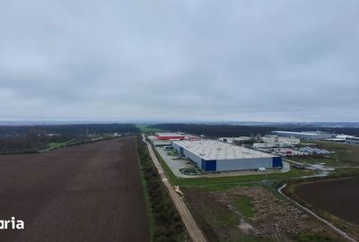 Teren de 10000 mp, în Găneasa - 6