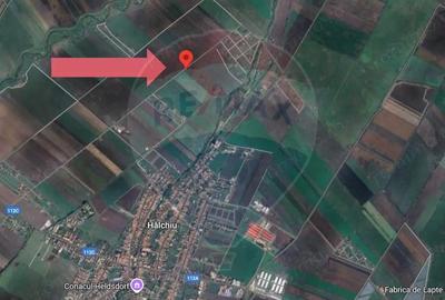 Teren de 30000 mp, în Hălchiu - 1