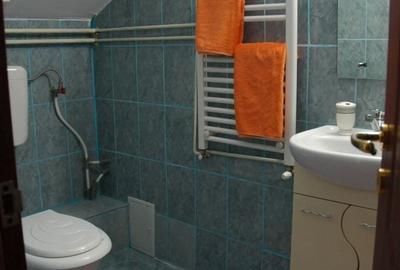 Casă cu 6 camere cu Teren 1359 Mp în Girișu de Criș - 3