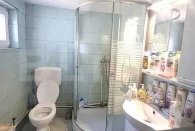 Casa renovabila, 2 camere, zona Cetate - 13