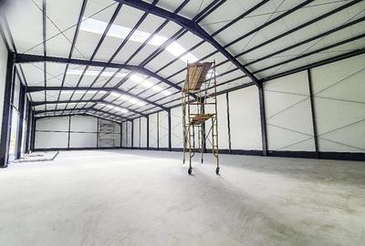 Spatiu  Industrial  Hala Pitesti - 7